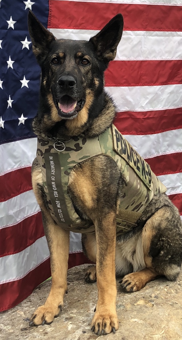 K9 Lexy